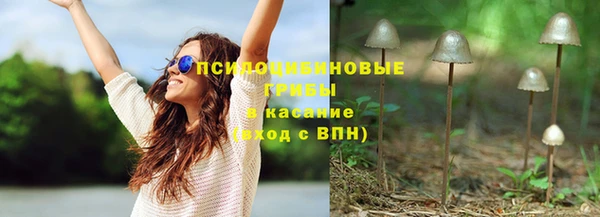 spice Беломорск