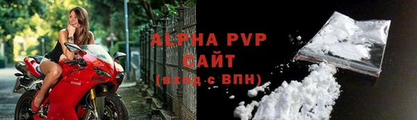гашик Белокуриха