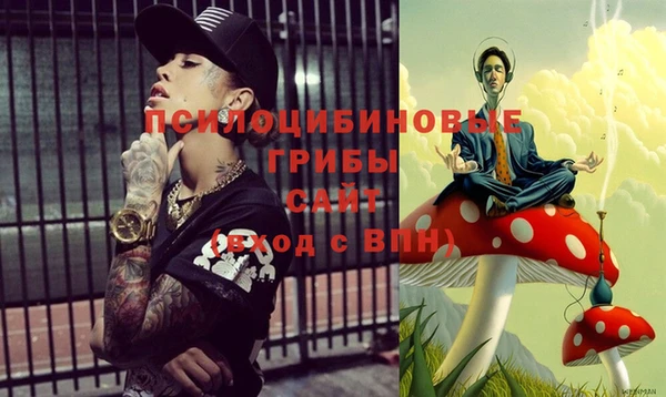 гашик Белокуриха