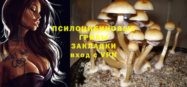 гашик Белокуриха