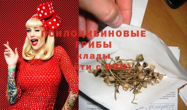 гашик Белокуриха