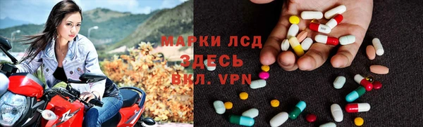 гашик Белокуриха